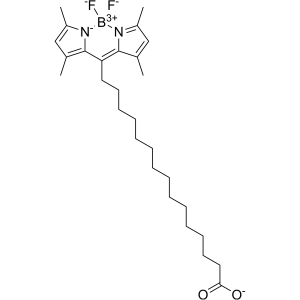 BODIPY-Palmitate 1246809-50-6